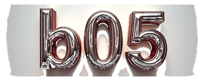 b05 logo
